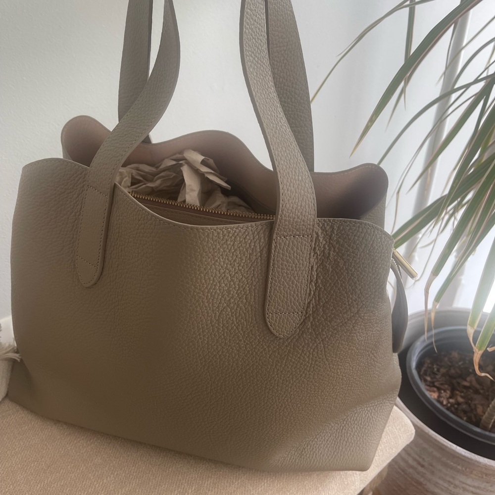 Cuyana Zippered Satchel